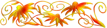 cu82rre62zy.gif