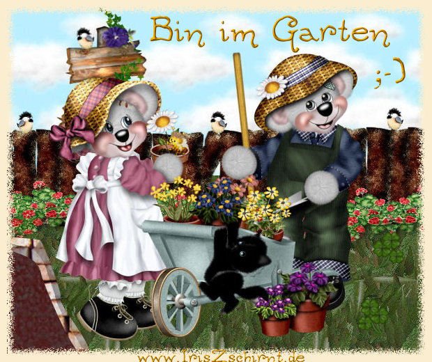 ext. Bild