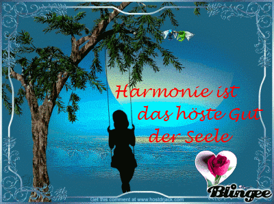 ext. Bild