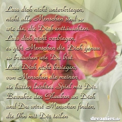 ext. Bild