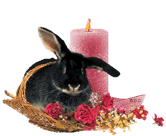 Frohe Ostern und gleichzeitig die Entschuldigung von Jacky Li4qhrumfxy