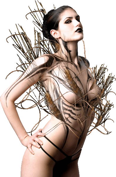 externalimage