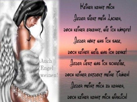 ext. Bild