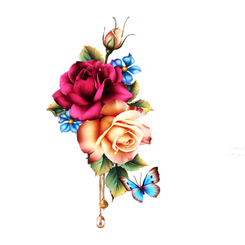 [​IMG]