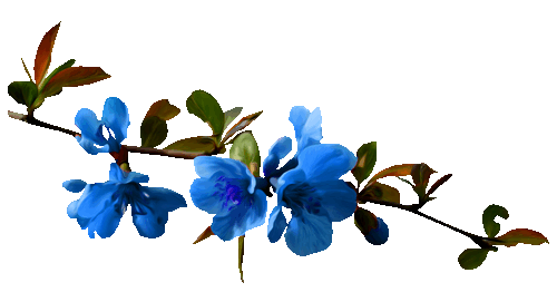 Именинницы ♪✿♫ 16 апреля ♫✿♪